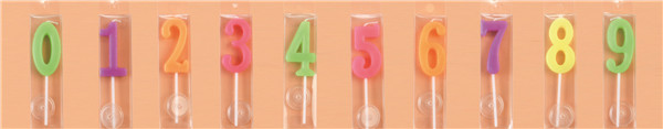 ZC-01PVC